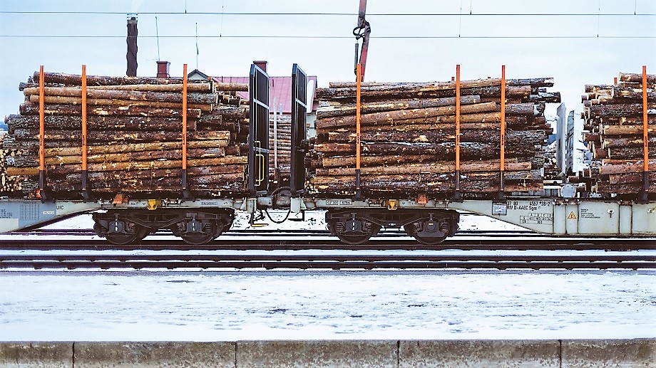 Пилотный проект по контролю искусственным интеллектом перевозок древесины признан успешным