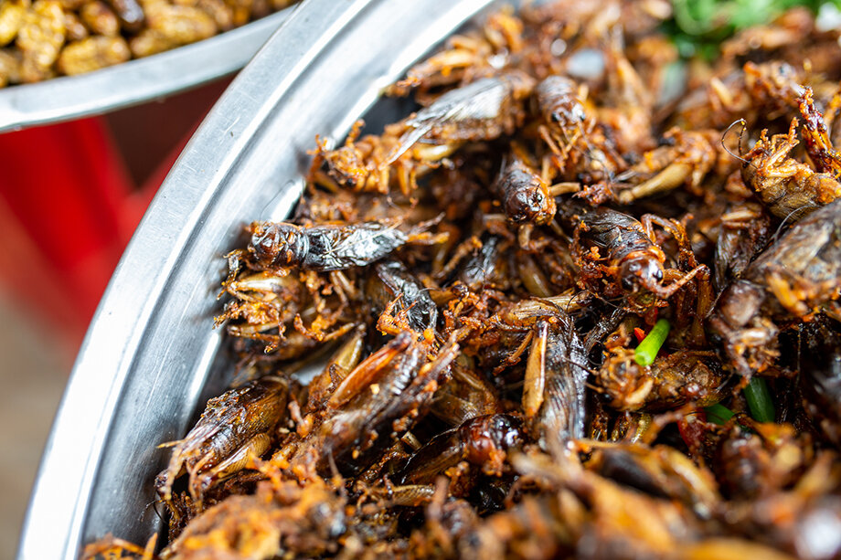 Учёные предупреждают о рисках употребления в пищу насекомых.