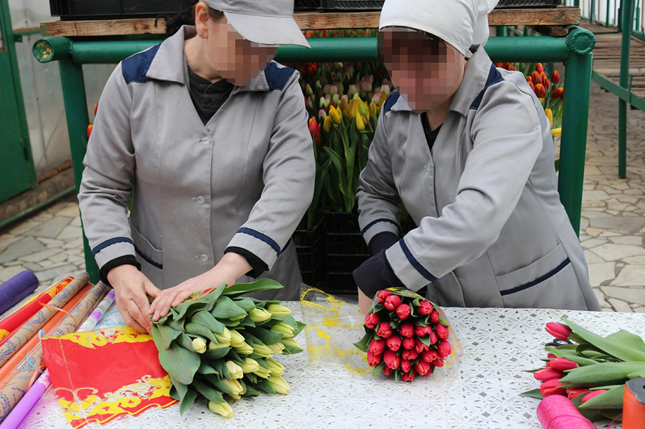 Секс знакомства с девушками Стерлитамак