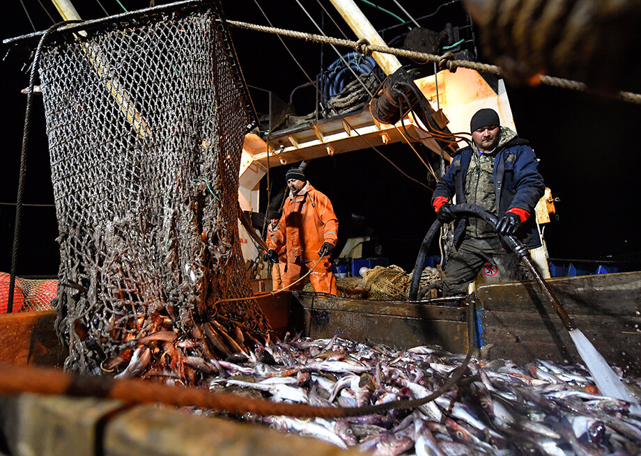 Текущий год в плане рыбного промысла уже называют одним из самых эффективных.