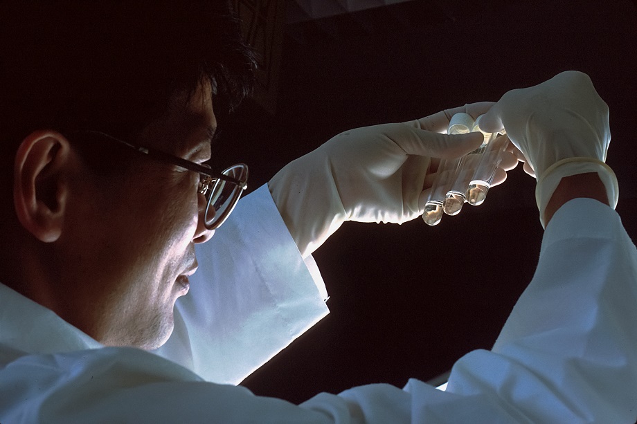 США финансировали исследования по созданию «мутантных вирусов» в лаборатории Уханя.