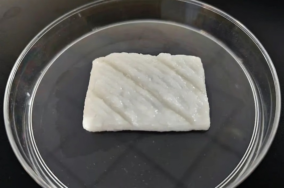 Кусок рыбного филе, выращенного учёными в Чжэцзянском университете.