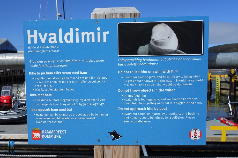 Вывеска на норвежском и английском языках, которая предупреждает о недопустимости вмешательства в дела Хвалдимира.