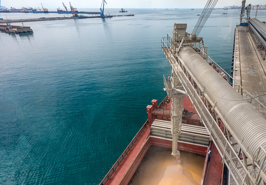 Вчера из порта Одессы вышло последнее судно, перевозящее зерно в рамках Черноморской инициативы.