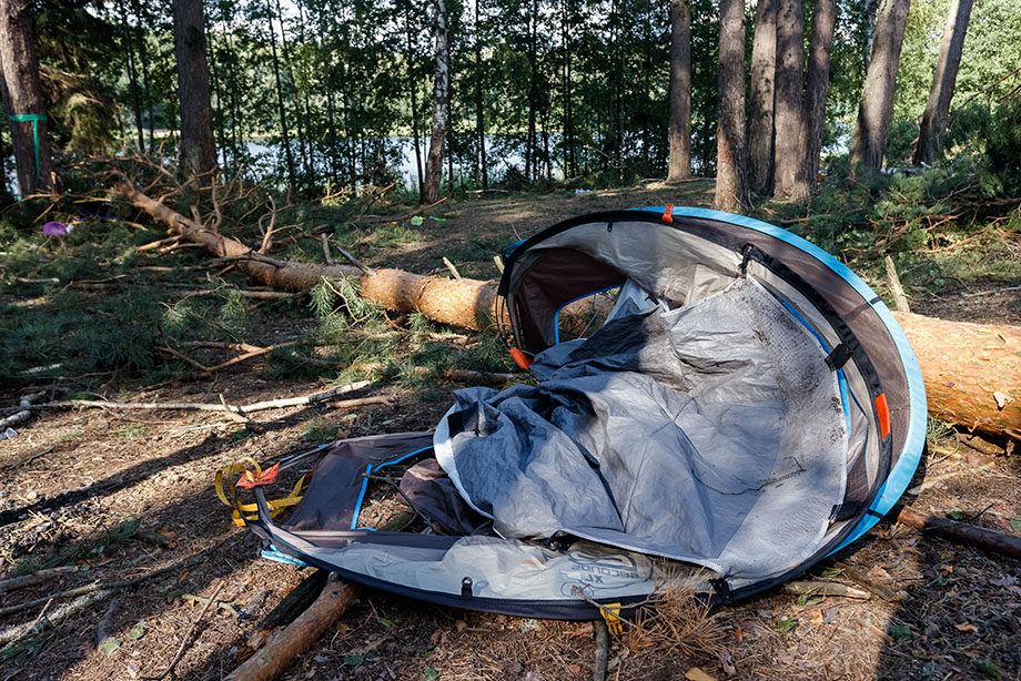 Поваленное ураганом дерево в палаточном лагере у озера Яльчик на территории национального парка «Марий Чодра».