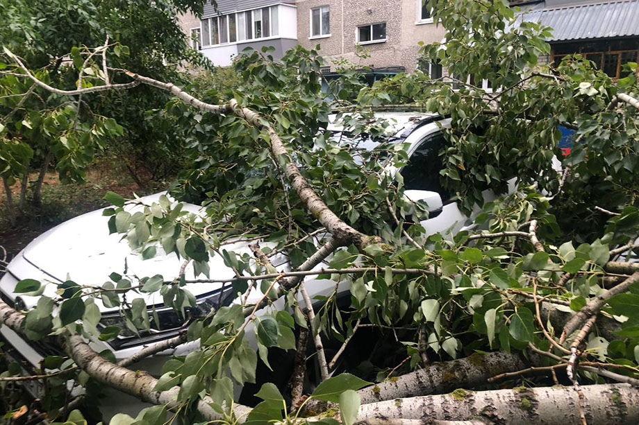 Сотрудники ГИБДД отказывались выезжать на место падения деревьев на машины.