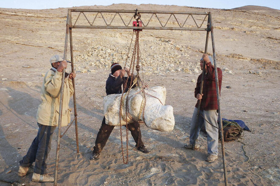 Единственный позвонок Perucetus colossus был обнаружен в пустыне Ика на юге Перу.