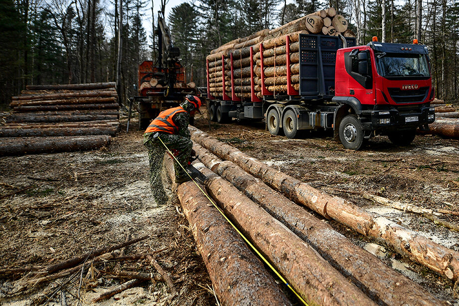 В 2022 году президент России Владимир Путин запретил экспорт круглого леса из России.