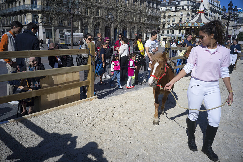 Власти столицы Франции запретят катание на пони для детей в общественных парках с 2025 года.