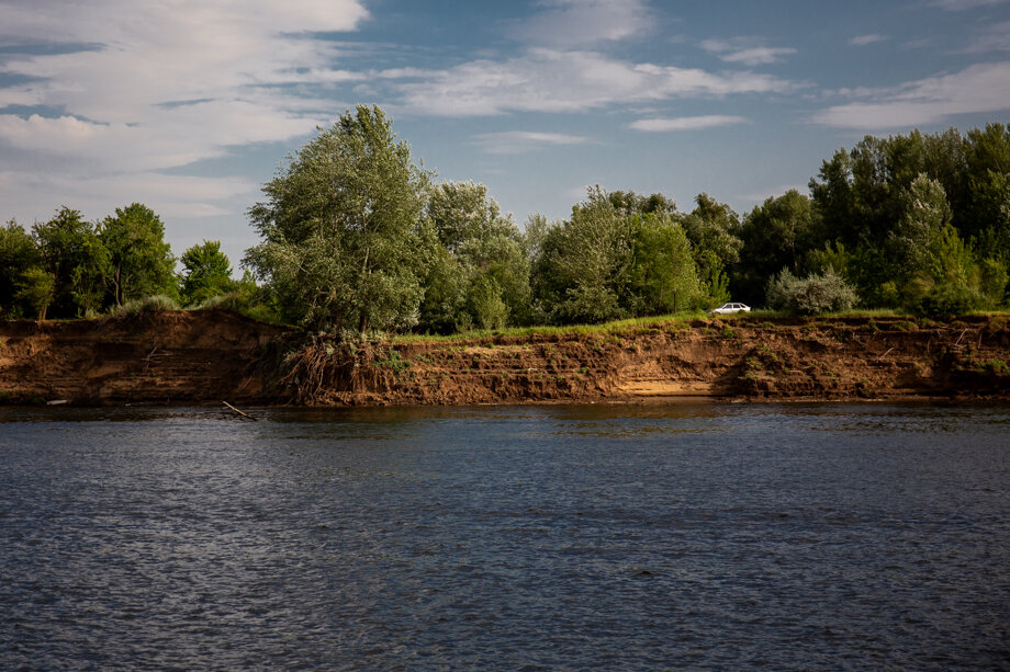 На оздоровление рек и водоёмов в низовьях Волги выделено 230 миллионов рублей.