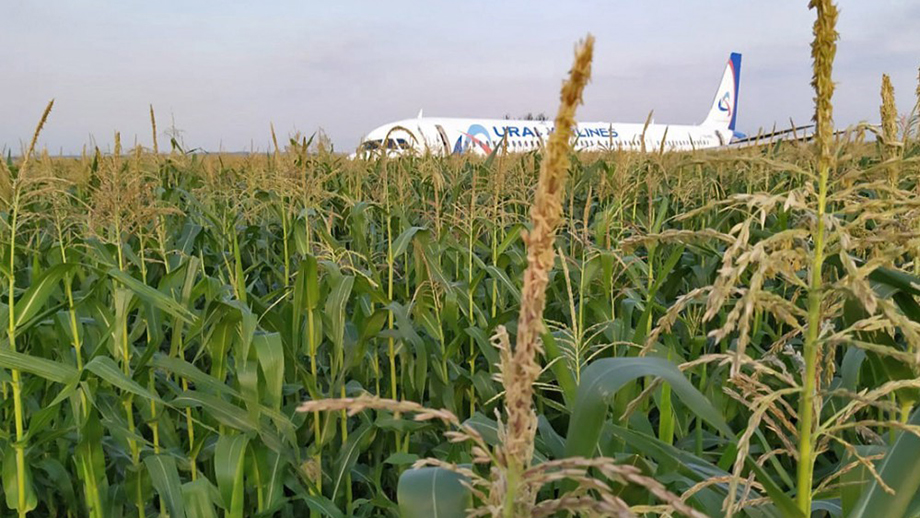 Аварийная посадка A321 «Уральских авиалиний» под Жуковским в 2019 году.