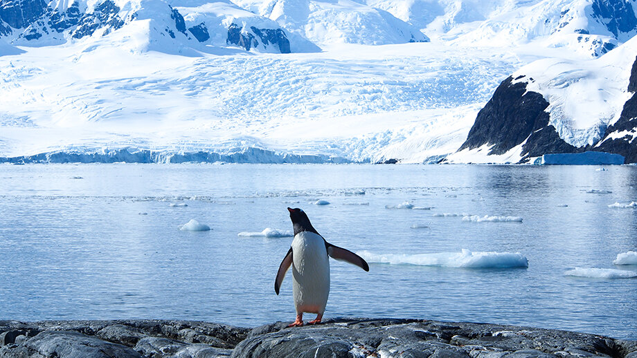 Даже при максимальном сокращении выбросов углерода большая часть Антарктиды обречена.