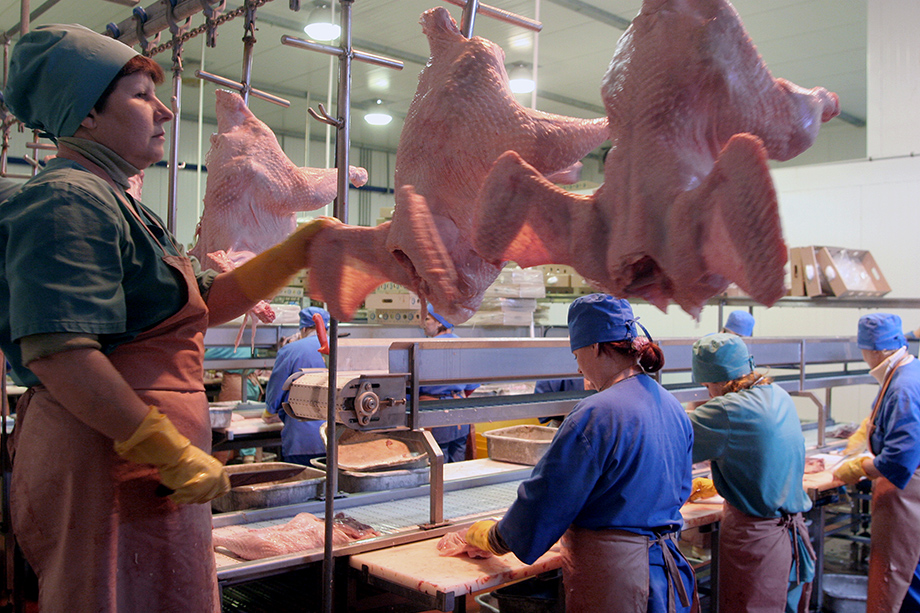Экспорт мяса птицы могут ограничить уже с декабря этого года до середины лета 2024-го.