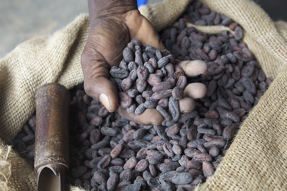 В мире продолжается рост цен на какао-бобы.