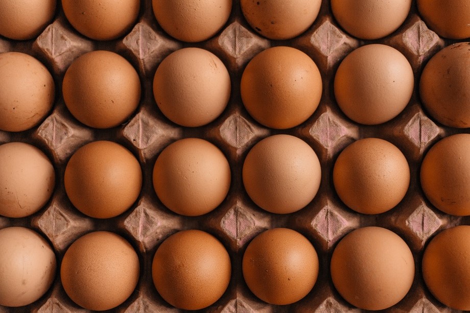 ФАС предложила ретейлерам ограничить наценку на куриные яйца до 5%.