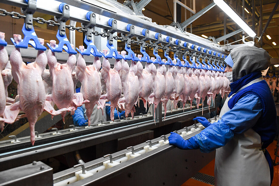 Кадровый дефицит в производстве куриного мяса повлиял на рост цен.