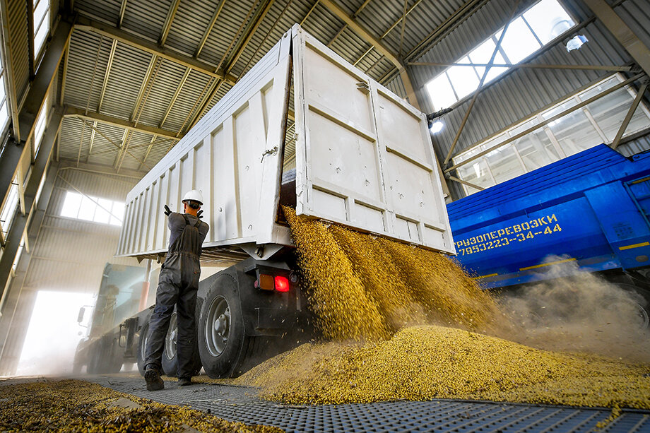 СФО увеличил отгрузку зерновых в КНР в несколько раз.