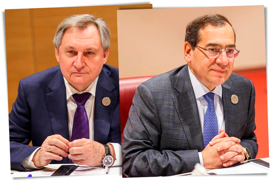 Министр энергетики РФ Николай Шульгинов провёл встречу с министром нефти и природных ресурсов Египта Тареком Эль-Моллой.