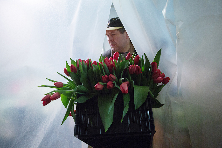 Российская цветочная отрасль столкнулась с ограничительными мерами.