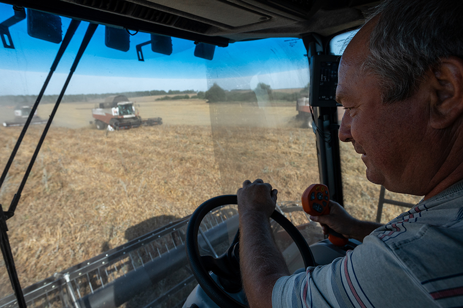 Институт конъюнктуры аграрного рынка понизил прогноз урожая зерновых в этом году.