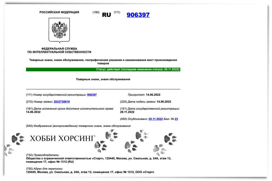 Роспатент зарегистрировал название вида спорта «хобби хорсинг» в конце 2022 года.