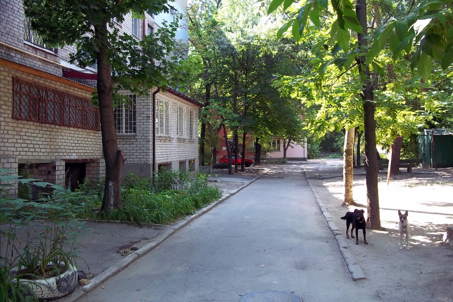На улицах Херсона. 2016 год.