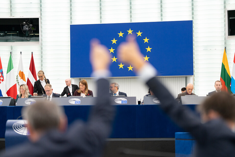 В ЕС всё ещё нет единства по вопросу замороженных российских активов.