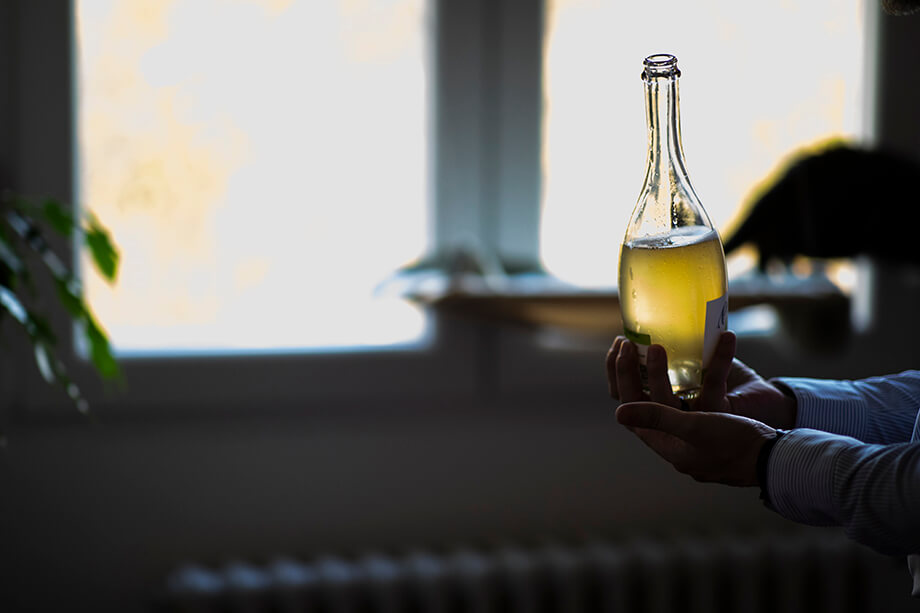 Онлайн-продажи вина должны увеличить спрос, расширить доступность и сократить контрафакт при доставке на дом.