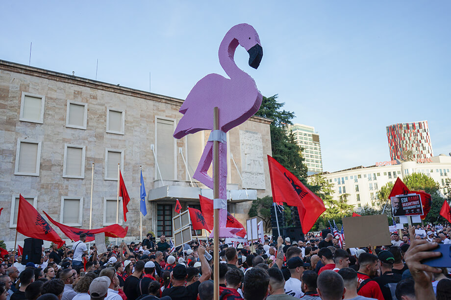 Символом протеста в Албании стал розовый фламинго, олицетворяющий взаимную защиту.