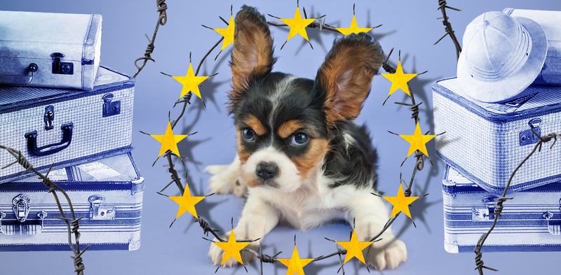 ЕС вводит собачьи правила эмиграции и туризма