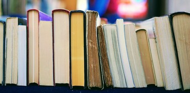 Издателей задержали за «Лето в пионерском галстуке»**