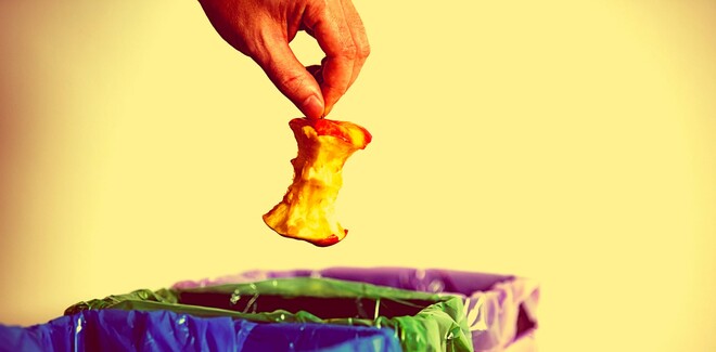 Червивое яблоко лучше идеального Червивое яблоко лучше идеального