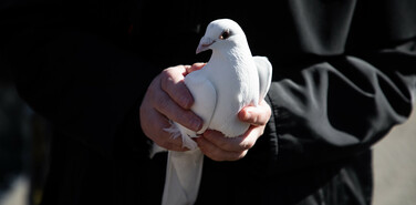 Мирные договорённости на Аляске породят новые проблемы