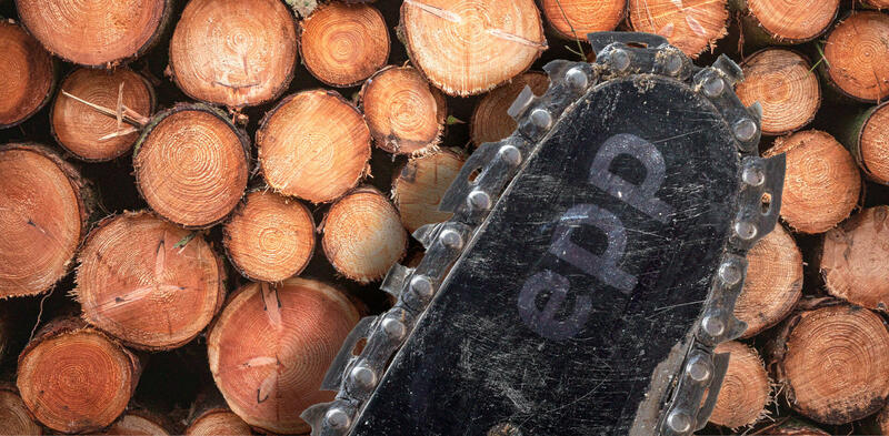 Климатическая повестка трещит по всем швам