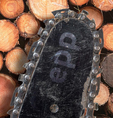 Климатическая повестка трещит по всем швам