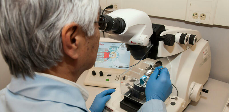 Опасные поиски вечной молодости