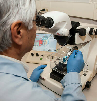 Опасные поиски вечной молодости