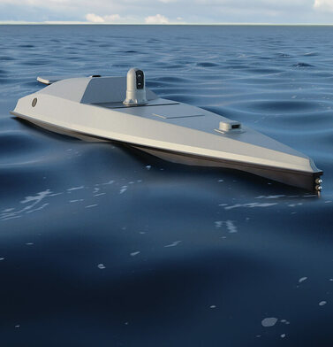 О безопасности морского судоходства можно забыть