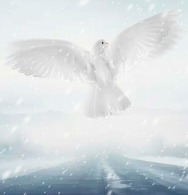 Переговоры по Украине: возможен ли прорыв в 2026 году