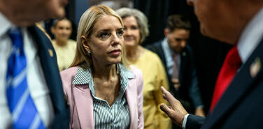 Большая политическая порка